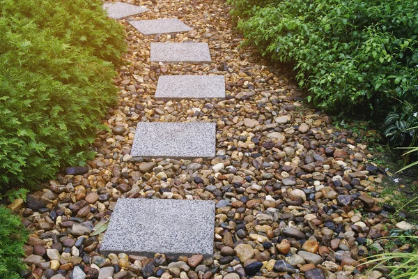 Stepping Walkway Gravel Lawn Garden — Stock fotografie