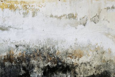 Eski Hasarlı Beyaz Alçı Duvar dokusu Arkaplanı