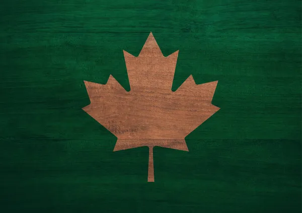 Minimalny Projekt Popularnego Kanadyjskiego Symbolu Liści Klonu Jasny Kolor Nowoczesne — Zdjęcie stockowe