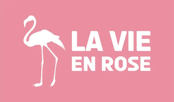 Grappige Flamingo Titel Het Frans Het Leven Roze Grappig Citaat — Stockfoto