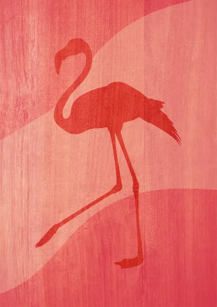 Mooie Flamingo Wandelen Roze Rustige Sfeer Romantiek Concept Rustige Kunst — Stockfoto