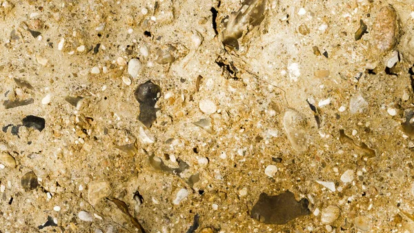 Artistic Brown Rock Closeup Pebbles Landing Page Abstract Art Destroyed Fotos de stock