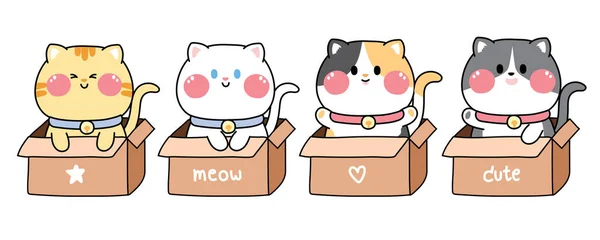 귀여운 고양이 세트가 Box Pet 디자인 Colles Animal Hand Drawn — 스톡 벡터