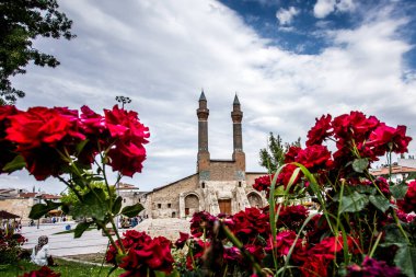 Sivas Cifte Minaret medresesi. Uzak görünüm.