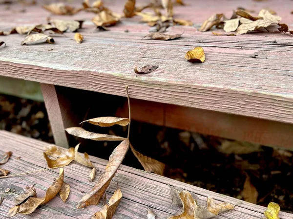 Hojas Secas Otoño Caídas Esparcidas Por Porche Madera Envejecida —  Fotos de Stock