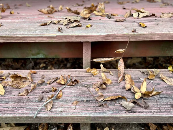 Ξηρά Πεσμένα Φθινοπωρινά Φύλλα Σκορπισμένα Ξύλινη Βεράντα — Φωτογραφία Αρχείου