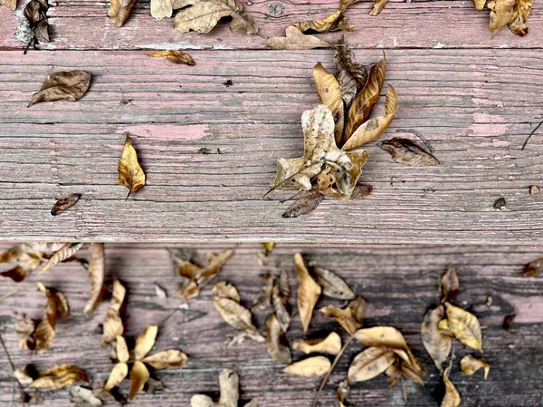 Ξηρά Πεσμένα Φθινοπωρινά Φύλλα Σκορπισμένα Ξύλινη Βεράντα — Φωτογραφία Αρχείου