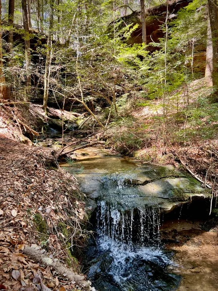 Hiking Scenes Sipsey Wilderness Bankhead National Forest United States —  Fotos de Stock