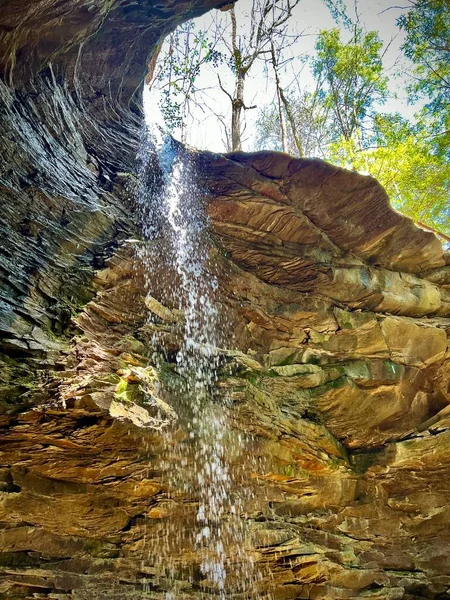 Wanderszenen Der Sipsey Wilderness Bankhead National Forest Vereinigte Staaten — Stockfoto