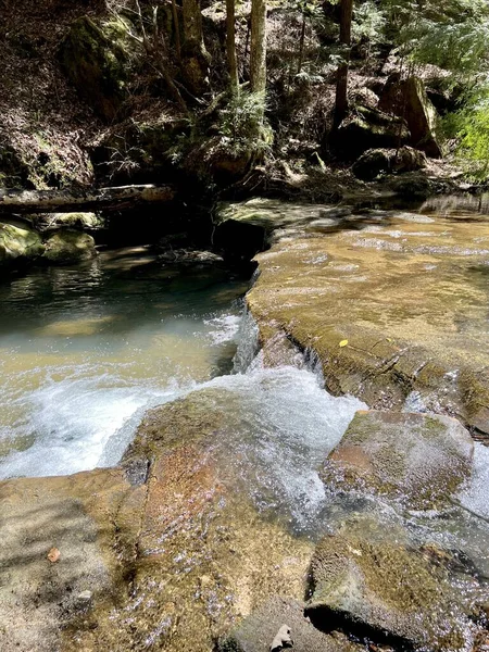 Wanderszenen Der Sipsey Wilderness Bankhead National Forest Vereinigte Staaten — Stockfoto