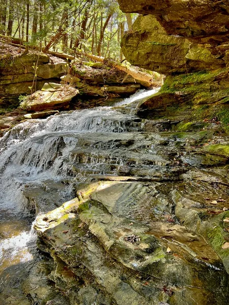 Hiking Scenes Sipsey Wilderness Bankhead National Forest United States —  Fotos de Stock