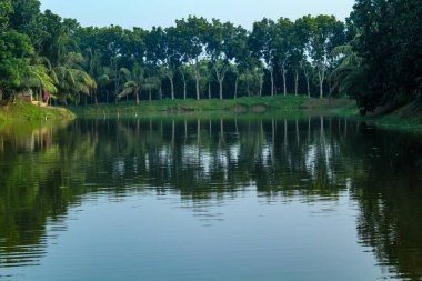 Kırsal alanda yeşil manzaralı büyük bir gölet.