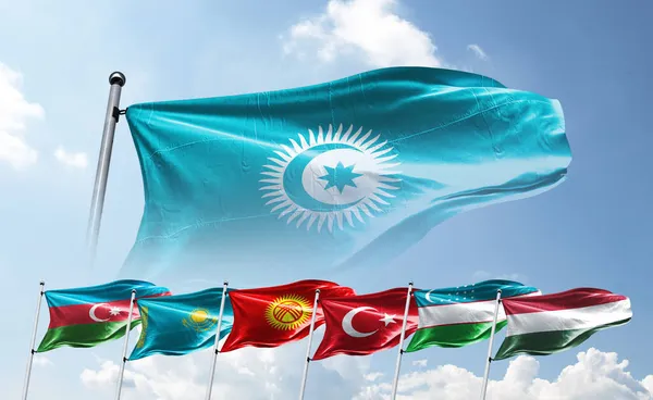 Turk Devletleri Teskilati Turk Konseyi Bayrak Translation Organization Turkish States — Stock Photo, Image