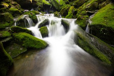 waterfall in the park on the background of the forest in the summer