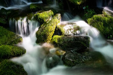 Ormanda güzel bir şelale