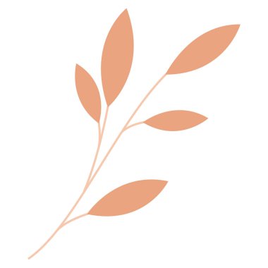 Beyaz arkaplanda yapraklı dalların vektör çizimi. Düz bir şekilde minimalist dal. Web tasarımı, tipografi ve logolar için çalışma tablosu çizimi.