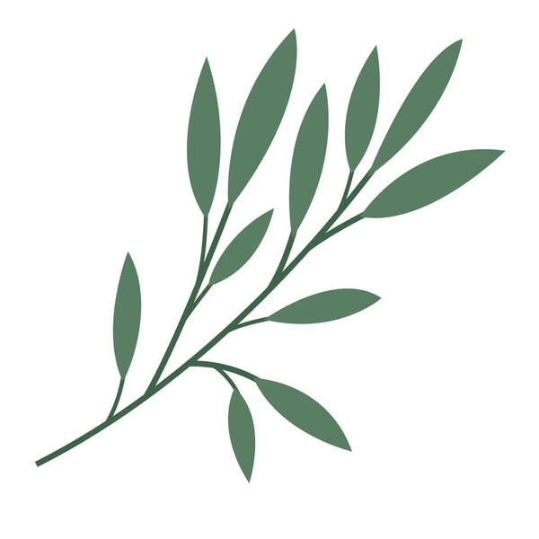 Векторный рисунок веток с листьями на белом фоне. Минималистическая веточка в плоском стиле. Рисунок листа для веб-дизайна и типографии, логотипов.