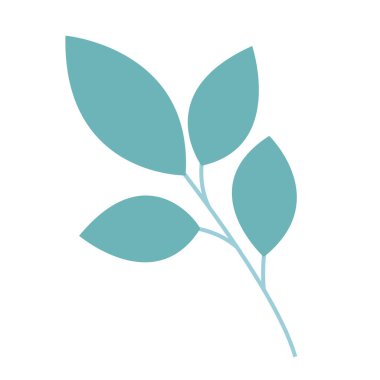 Beyaz arkaplanda yapraklı dalların vektör çizimi. Düz bir şekilde minimalist dal. Web tasarımı, tipografi ve logolar için çalışma tablosu çizimi.