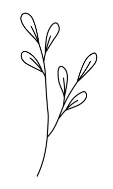 Yaprakları minimalist tarzda olan bir vektör dalı. Beyaz arka planda Sprig izole edilmiş. Çiçek elementleri. El yapımı botanik. Tekstil tasarımı ve tipografi için vektör ögeleri.