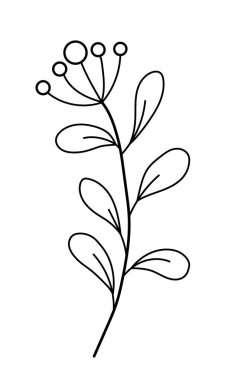 Yapraklı ve böğürtlenli vektör filizi. Minimalist tarzda. Beyaz arka planda Sprig izole edilmiş. Çiçek elementleri. El yapımı botanik. Tekstil tasarımı ve tipografi için vektör ögeleri