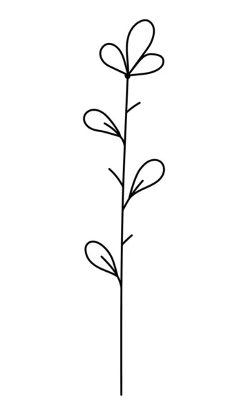 Vektorová Větvička Listy Minimalistickém Stylu Sprig Izolované Bílém Pozadí Květinové — Stockový vektor
