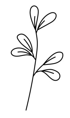 Yaprakları minimalist tarzda olan bir vektör dalı. Beyaz arka planda Sprig izole edilmiş. Çiçek elementleri. El yapımı botanik. Tekstil tasarımı ve tipografi için vektör ögeleri