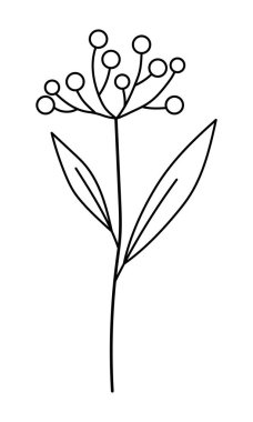 Yapraklı ve böğürtlenli vektör filizi. Minimalist tarzda. Beyaz arka planda Sprig izole edilmiş. Çiçek elementleri. El yapımı botanik. Tekstil tasarımı ve tipografi için vektör ögeleri.