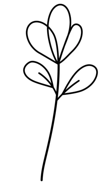 Vektorkvist med blad i minimalistisk stil. Sprig isolerad på vit bakgrund. Blommiga inslag. Handritad botanik. Vektorelement för textildesign och typografi — Stock vektor