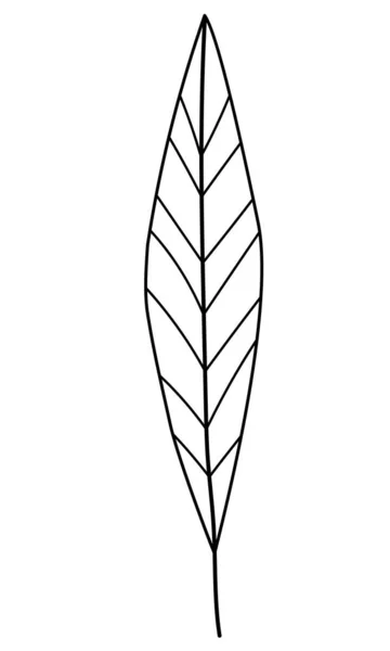 Ramita vectorial con hojas en un estilo minimalista. Espiral aislado sobre fondo blanco. Elementos florales. Botánica dibujada a mano. Elementos vectoriales para diseño textil y tipografía — Vector de stock