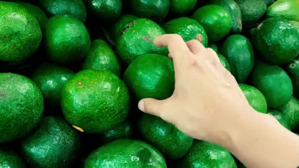 Someone Hand Picking Ripe Avocado Local Market Full Fruit Background — Stock Video