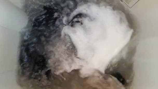 Lavadora Está Haciendo Girar Limpieza Ropa Sucia Casa — Vídeos de Stock