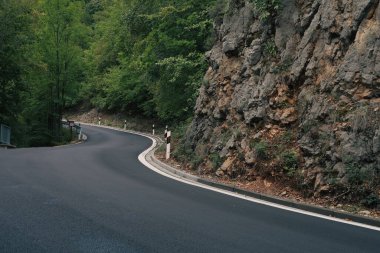 Yazın güzel doğası yol kenarındaki ormanda