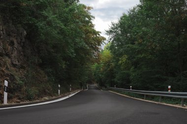 Yazın güzel doğası yol kenarındaki ormanda