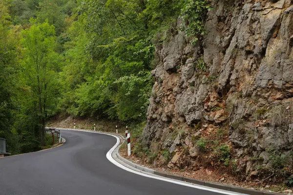 Summer Beautiful Nature Forest Road — Stock Photo, Image