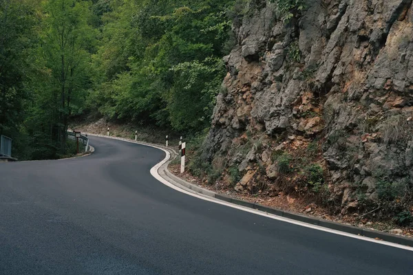 Summer Beautiful Nature Forest Road — Stock Photo, Image