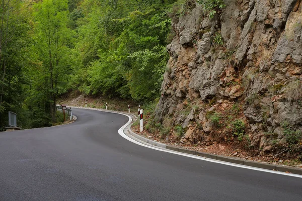 道路近くの森の中の夏の美しい自然 — ストック写真