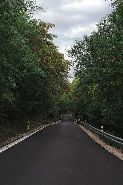 Verano Hermosa Naturaleza Bosque Cerca Carretera —  Fotos de Stock