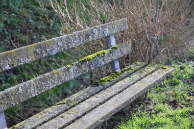 Parktaki eski ahşap bank.