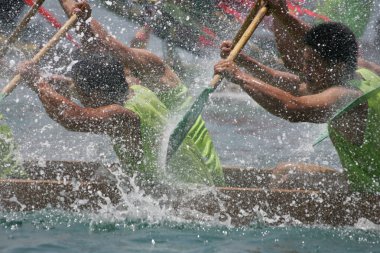 Ejderha teknesinin kürekçileri iş başında.