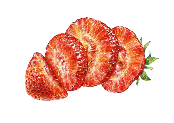 Fragole Mature Rosse Isolate Fondo Bianco Disegno Acquerello Lavoro Manuale — Foto Stock