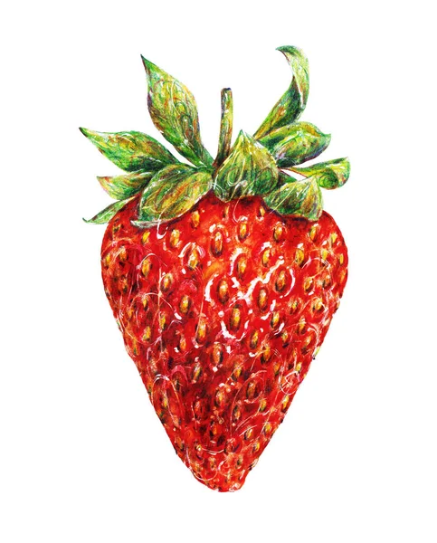 Rote Reife Erdbeeren Isoliert Auf Weißem Hintergrund Aquarell Zeichnung Von — Stockfoto