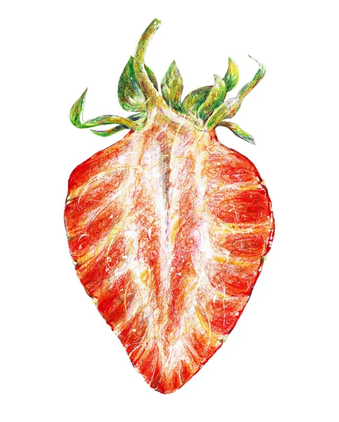 Rote Reife Erdbeeren Isoliert Auf Weißem Hintergrund Aquarell Zeichnung Von — Stockfoto