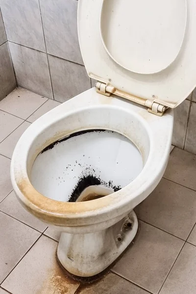 Грязная Вонючая Унитаз Limescale Туалете — стоковое фото