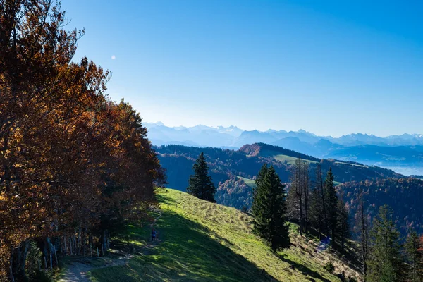 Blick vom Schnebelhorn, einem Hügel im Kanton Zürich, entlang einer Reihe bunter Herbstbäume auf die Berge — Stockfoto