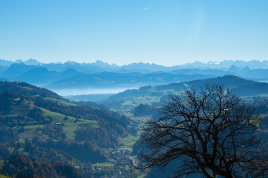 Güneşli bir sonbahar öğleden sonrasında Cantone Zürih 'te Hoernli' nin tepesinden panoramik manzara