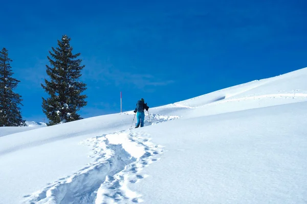在一个美丽的冬日里，雪地覆盖着瑞士的高山，雪鞋在旅行. — 图库照片