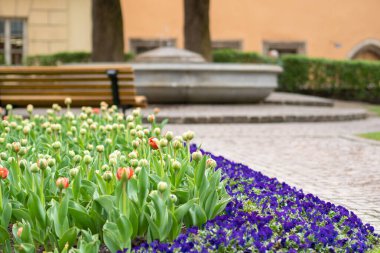 Beauiful garden in the city centre of Innsbruck, Austria, with surrounding historic buildings