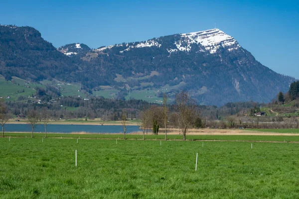 İsviçre, Avrupa 'da ünlü bir dağ olan Rigi Dağı' na doğru bir gölün üzerindeki yeşil bir tarladan görüntü.