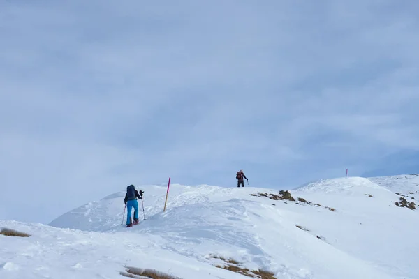 瑞士卑尔根，雪鞋徒步旅行者在通往达尔卢斯山的一条明显的小径上 — 图库照片