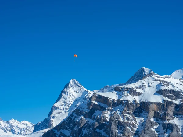 Paraglider před slavnými švýcarskými horami Eiger, Moench a Jungfrau — Stock fotografie